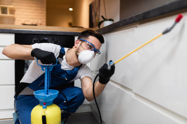 Best Affordable Pest Control Services  in Osseo, WI