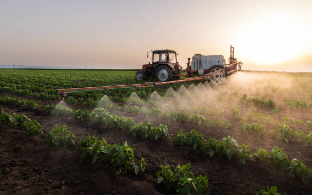 Best Mosquito Control Services  in Osseo, WI
