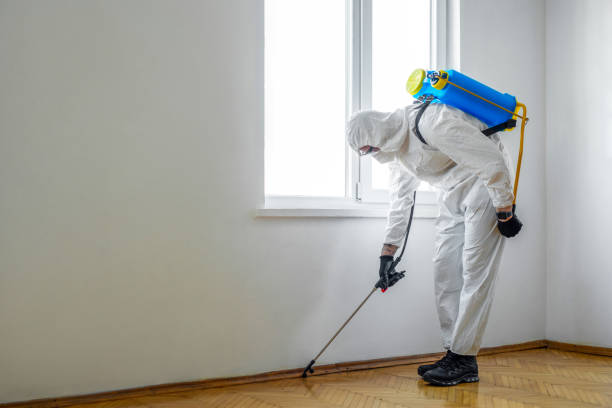 Best Best Pest Control Companies  in Osseo, WI