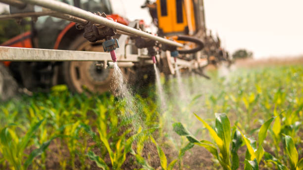 Professional Pest Control in Osseo, WI